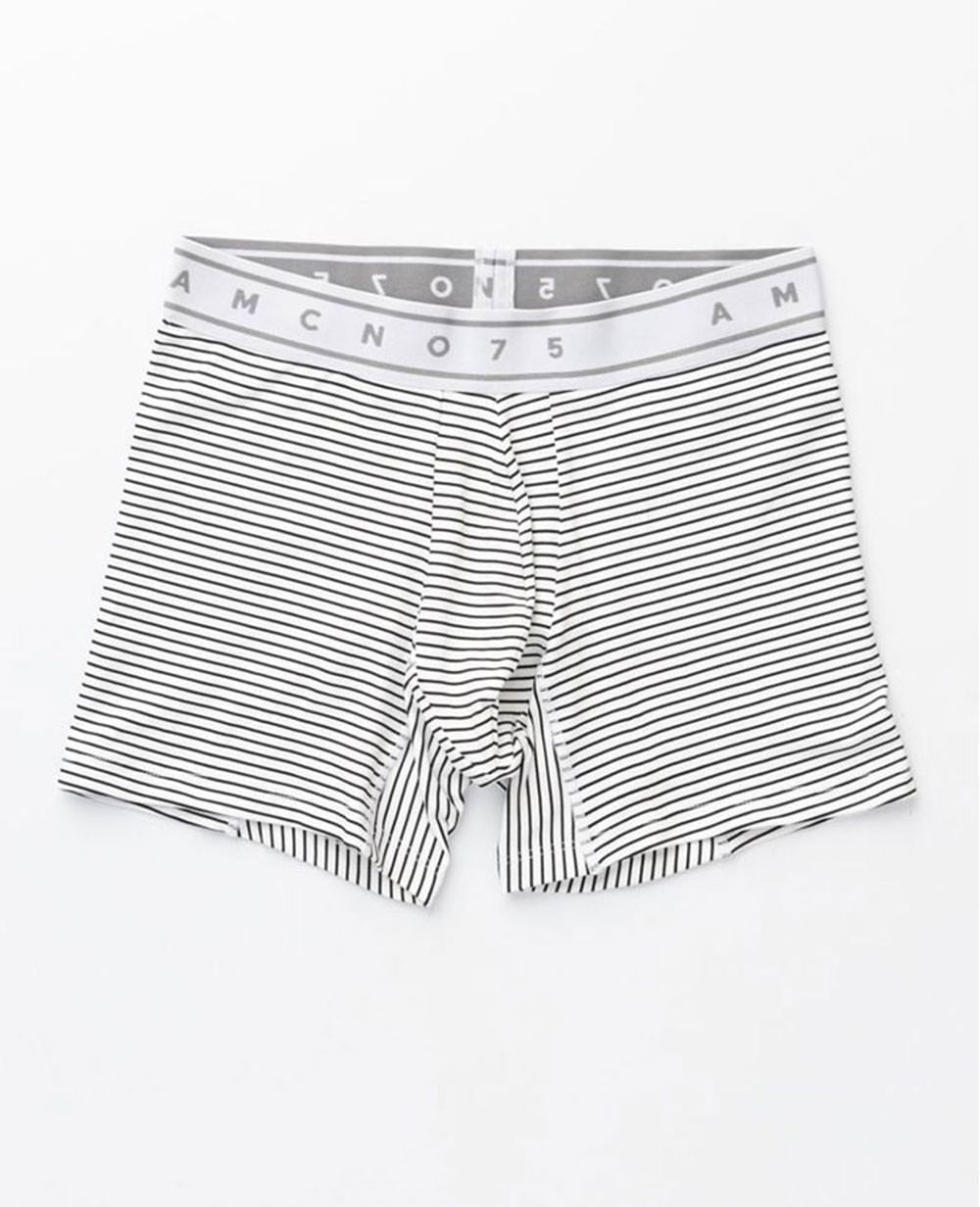 Boxer americanino discount